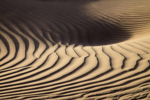 Sand Poster featuring the photograph Wind blowing over sand dunes #2 by Mikhail Kokhanchikov