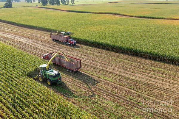 Corn Poster featuring the photograph Corn Harvest #3 by Jim West