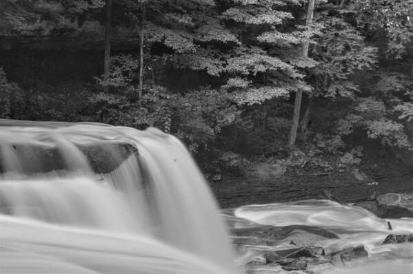  Poster featuring the photograph Great Falls #3 by Brad Nellis