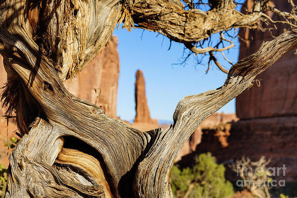 Arches National Park Poster featuring the photograph Arches National Park #35 by Raul Rodriguez