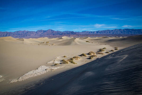 California Poster featuring the photograph Mesquite Flat Sand Dunes #5 by Jonathan Babon
