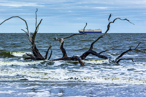 Driftwood Poster featuring the photograph Driftwood Beach #7 by Randy Bayne