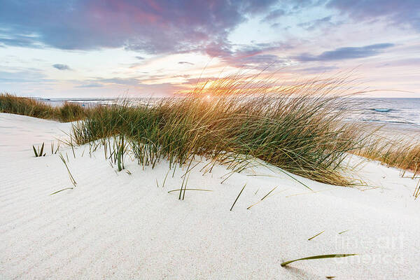 Sea Poster featuring the photograph Beach grass on dune, Baltic sea at sunset #8 by Michal Bednarek