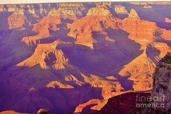 The Grand Canyon Poster featuring the digital art The Grand Canyon #8 by Tammy Keyes