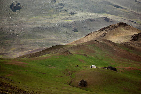 Herders Lifestyle Poster featuring the photograph Life of Countryside #9 by Bat-Erdene Baasansuren