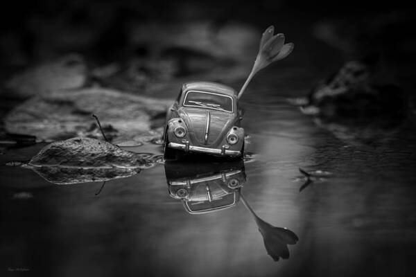 Vw Poster featuring the photograph A bugs refection by Tony DiStefano