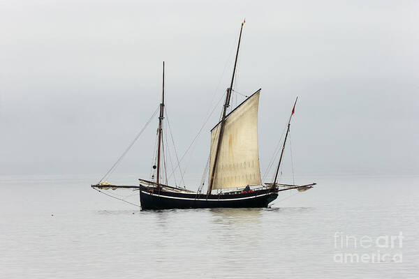 Lugger Poster featuring the photograph A Cornish Lugger becalmed in Mounts Bay, Cornwall. by Tony Mills