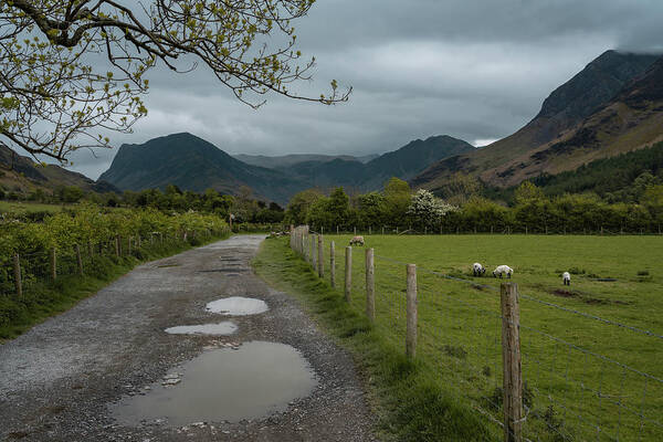 Dirt Road Poster featuring the photograph A dirt road to the Buttermere lake in Cumbria, England by Anges Van der Logt