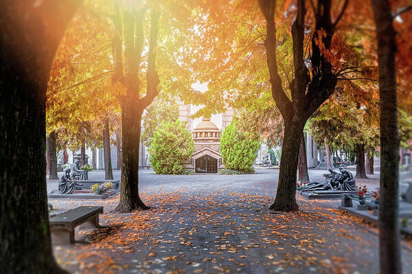 Cemetery;cemeteries;milan;milano;monumental;cimitero Monumentale;di Milano;cimitero;italy;italia;graveyard;grave;tomb;sculpture;gothic;monument;vintage;historic;historical;retro;nostalgic;nostalgia;dark;ornate;european;europe;loss;death;sad;memorial;burial;resting Place;funerary;architecture;horizontal;the;and;office;bedroom;living;dining;room;kitchen; Home;decor;lounge;den;mausoleum;haunting;italian;italiano;mortality;taphophilia;taphophile;fall;autumn;autumnal;solitude;of;a;quiet;peaceful Poster featuring the photograph A Monumental Autumn in Milan Italy by Carol Japp