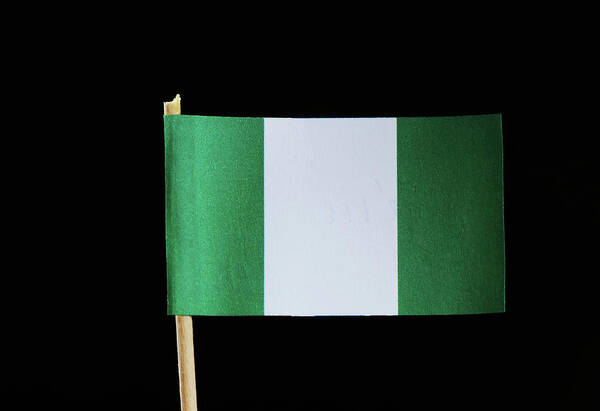 Federal Republic Of Nigeria Poster featuring the photograph A national flag of Nigeria on toothpick on black background. Nigerian flag contain green and white colour. by Vaclav Sonnek