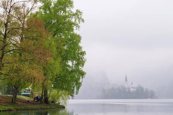 Slovenia Poster featuring the photograph A rainy day in Bled, Slovenia by Mirko Chessari