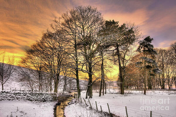 Landscape Poster featuring the photograph A Stream Through The Snow, near Airton by Tom Holmes