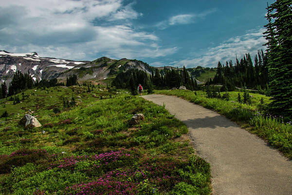 Mount Rainier National Park Poster featuring the photograph A Stroll in the Park by Doug Scrima