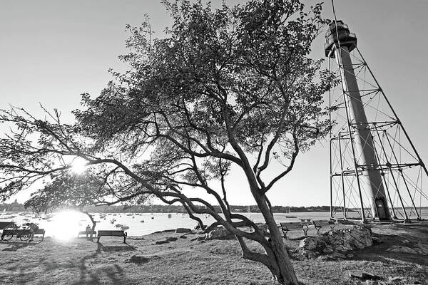 Marblehead Poster featuring the photograph A sunny Marblehead Day at the Light Tower Chandler Hovey Park Black and White by Toby McGuire