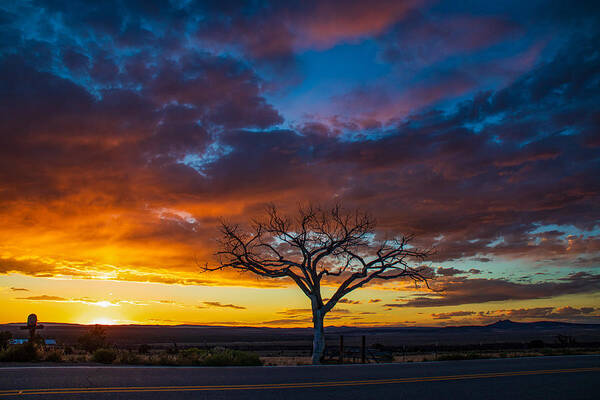 Taos Poster featuring the photograph A Welcome Tree Sunset by Elijah Rael