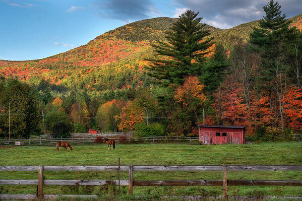 Adirondack Horse Farm Poster featuring the photograph Adirondack Horse Farm by Mark Papke