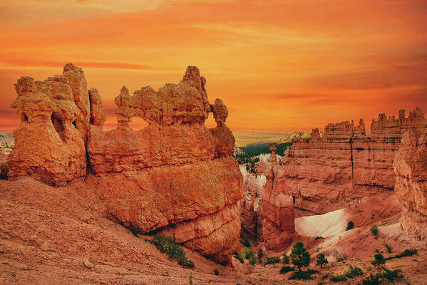 Bryce Canyon Poster featuring the photograph Aglow in Bryce Canyon. by Jerry Cahill