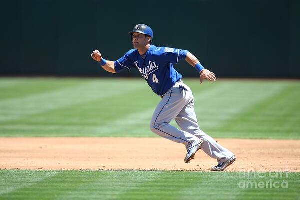 American League Baseball Poster featuring the photograph Alex Gordon by Brad Mangin