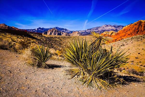  Poster featuring the photograph Alien Scape 4 by Rodney Lee Williams