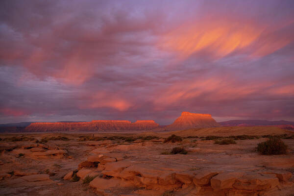 Utah Poster featuring the photograph Alight by Dustin LeFevre