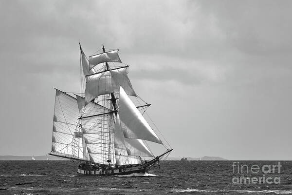 19th Poster featuring the photograph All sails out. II by Frederic Bourrigaud