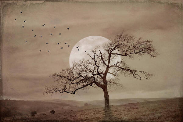 Clouds Poster featuring the photograph Alone under a Full Moon at Dusk in Sepia Tones by Debra and Dave Vanderlaan