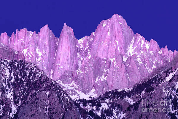 Mountain Poster featuring the photograph Alpenglow, Mount Whitney by Douglas Taylor
