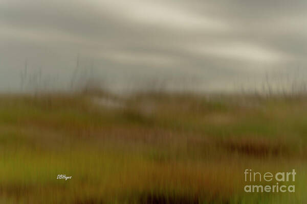 Beaches Poster featuring the photograph Altered Reality 34 - Dunes and Sky ICM Art by DB Hayes