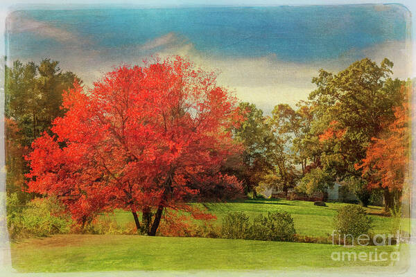 Massachusetts Poster featuring the photograph Antique Autumn II by Anita Pollak