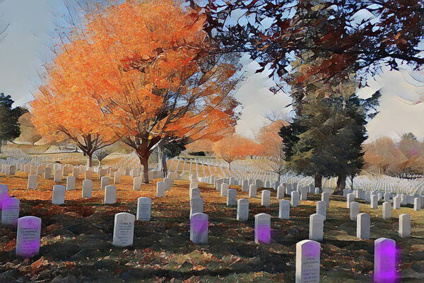Cemetery Poster featuring the photograph Arlington National Cemetery by Farol Tomson