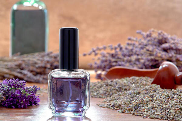 Aromatherapy Poster featuring the photograph Aromatherapy Perfume Bottle and Lavender Flowers by Olivier Le Queinec