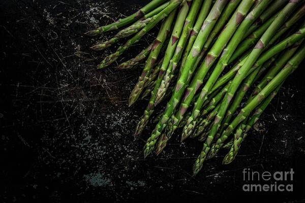 Asparagus Poster featuring the photograph Asparagus No. 1 by Jarrod Erbe
