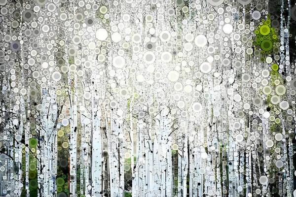 Aspen Poster featuring the digital art Aspens in the Spring by Linda Bailey