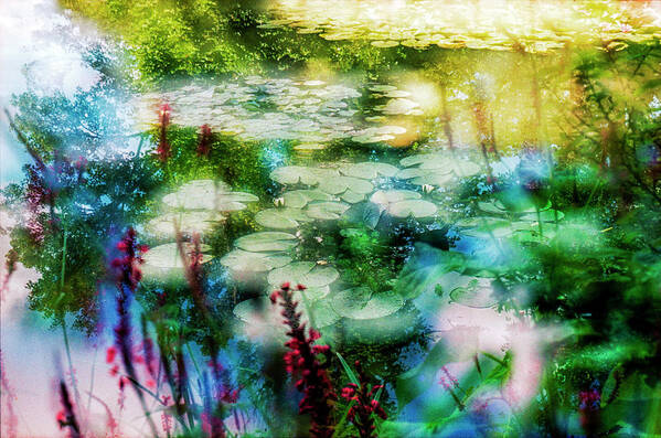 Impressionism Art Poster featuring the photograph At Claude Monet's Water Garden 2 by Dubi Roman