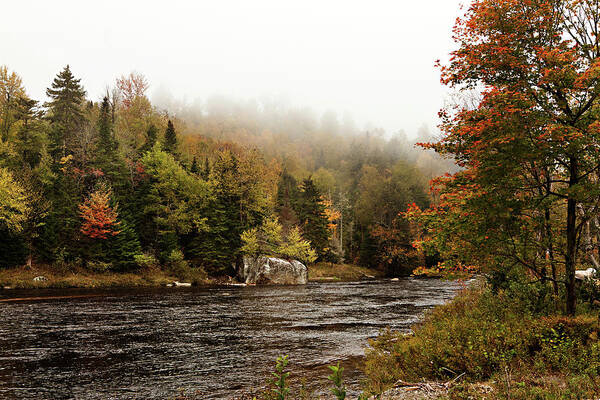 River Poster featuring the photograph Ausable River In Lake Placid by Carolyn Ann Ryan