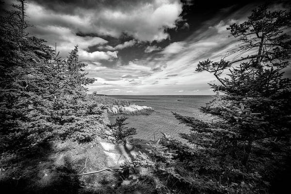 Maine Poster featuring the photograph Autumn Afternoon At West Quoddy Head by Rick Berk