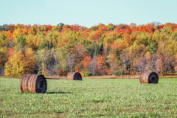 Autumn Poster featuring the photograph Autumn Bales by Todd Klassy