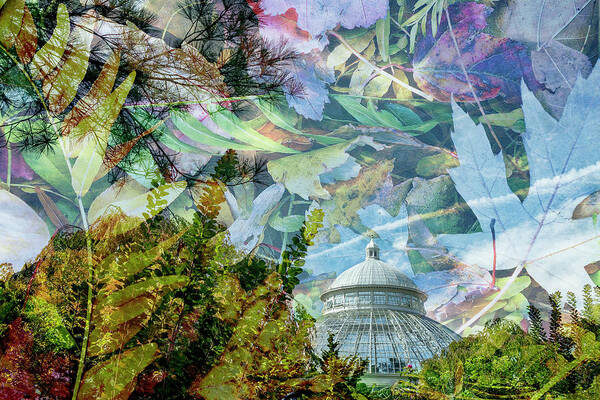 Collage Poster featuring the photograph Autumn Collage by Cate Franklyn