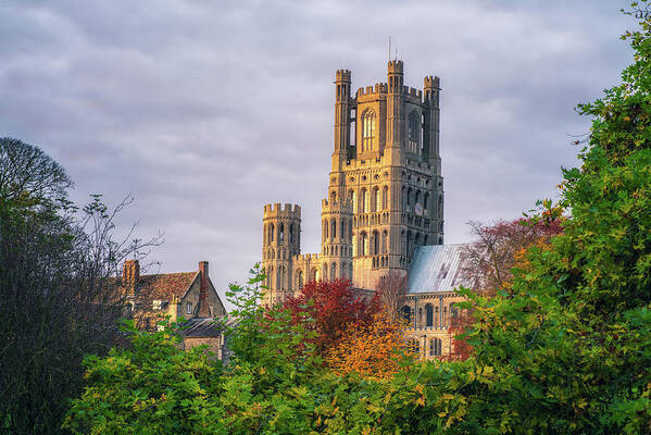 Autumn Poster featuring the photograph Autumn Colour at Ely by James Billings