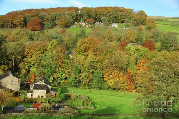 Autumn Poster featuring the photograph Autumn colour in Calderdale, Yorkshire. by David Birchall