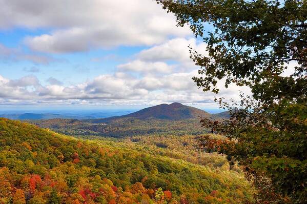 North Carolina Mountains Poster featuring the photograph Autumn in Carolina by Lynn Hunt
