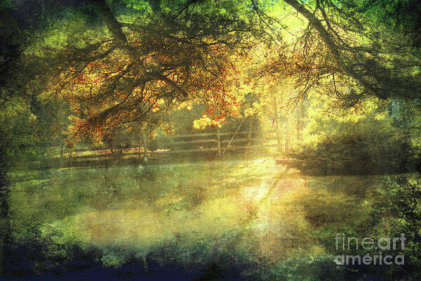 Landscape Poster featuring the photograph Autumn Light by Ellen Cotton