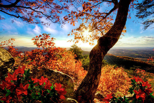 Benton Poster featuring the photograph Autumn Mountain Colors Blue Ridge Smokies by Debra and Dave Vanderlaan