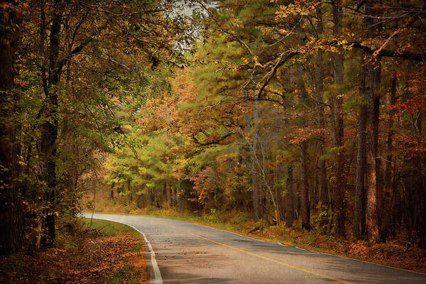 Arkansas Poster featuring the photograph Autumn Road by Lana Trussell