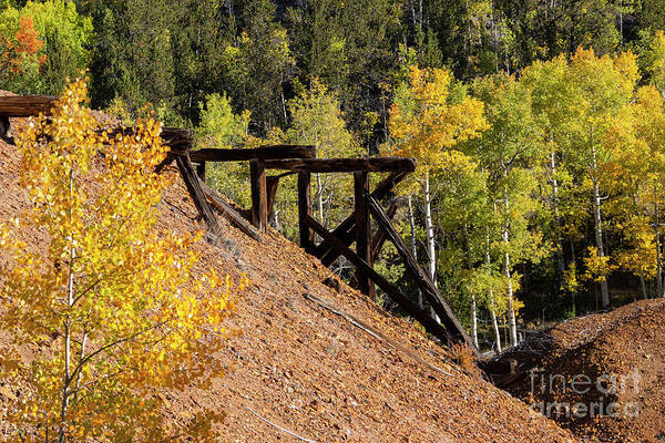 Cripple Creek Poster featuring the photograph Autumn Trestle by Steven Krull