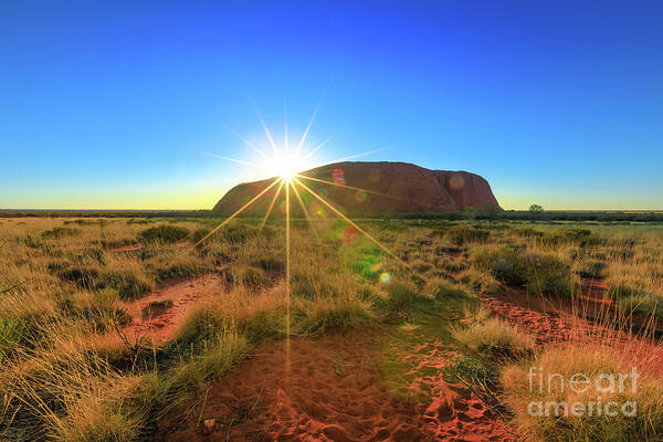 Australia Poster featuring the photograph Ayers Rock at sunrise by Benny Marty