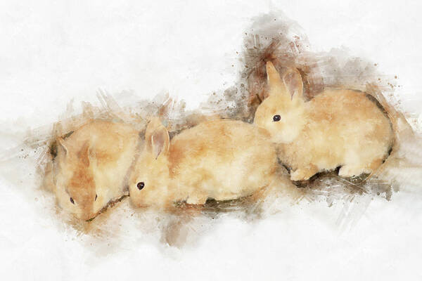 Rabbits Poster featuring the photograph Baby Bunnies - The Art of Cuteness by Peggy Collins