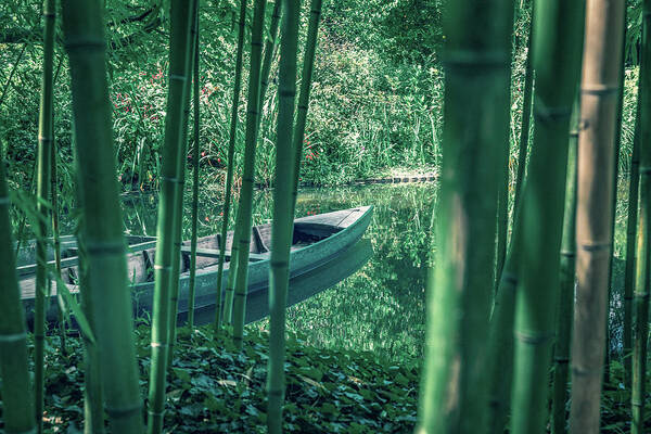 Environmental Conservation Poster featuring the photograph Bamboo forest and Rowboat on a small pond by Benoit Bruchez