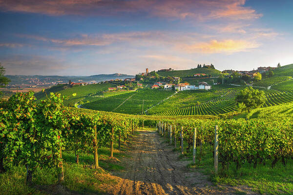 Barbaresco Poster featuring the photograph Barbaresco village and Langhe vineyards, Piedmont, Italy by Stefano Orazzini