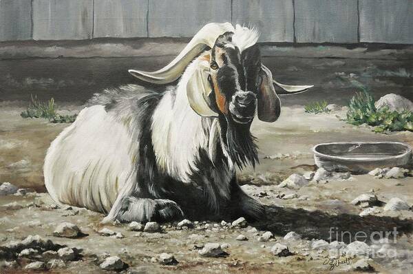Animals Poster featuring the painting Old Goat in the Barnyard by Suzanne Schaefer